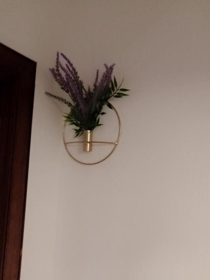 Casa Carducci Affittacamere Monteleto Eksteriør billede
